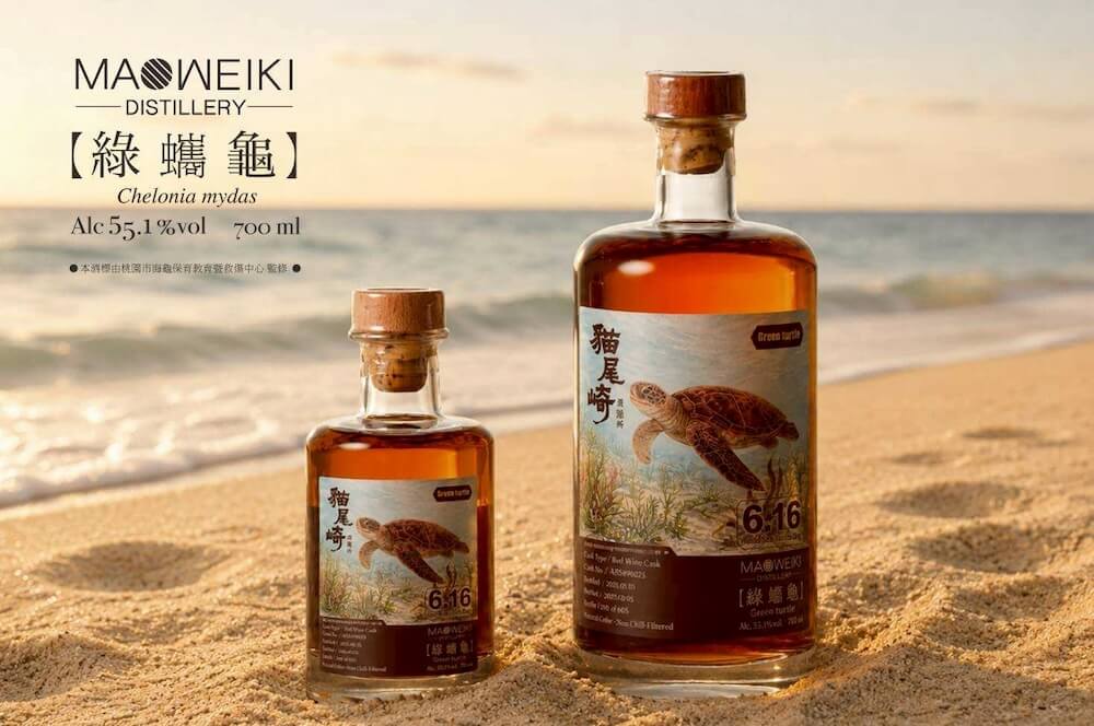 貓尾崎海龜系列【綠蠵龜】_情境圖 貓尾崎海龜系列【綠蠵龜】_情境圖